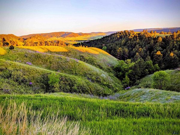 TBD MOON MEADOWS DR, Rapid City, SD 57702