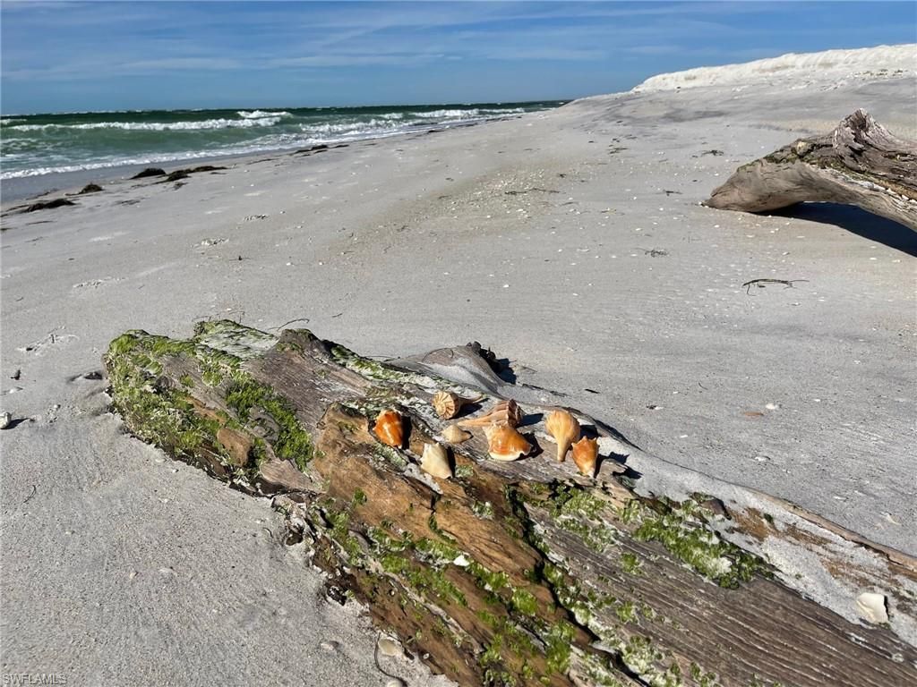 640 Gulf Ln, Unit 4, Captiva, FL 33924 Photo
