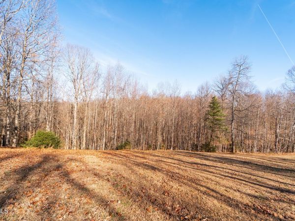 Tbd Allison Timbers Road, Piney Flats, TN 37686