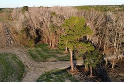 3 Highway 52 photo 4