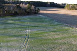 3 Highway 52 photo 4