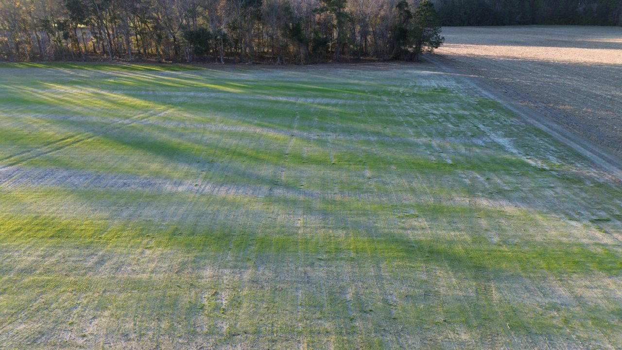 3 Highway 52 Photo 4