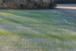 3 Highway 52 photo 4