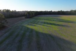 6 Highway 52 photo 4