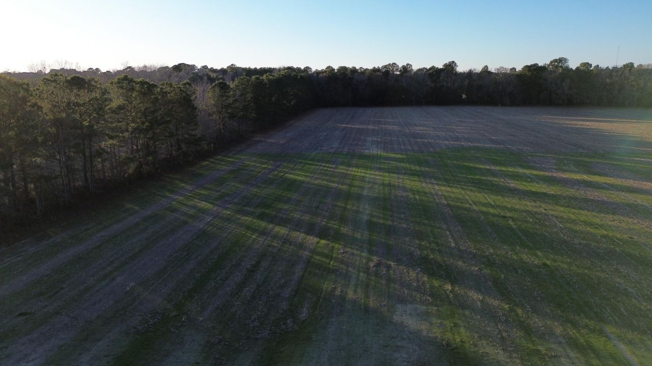 6 Highway 52 Photo 5