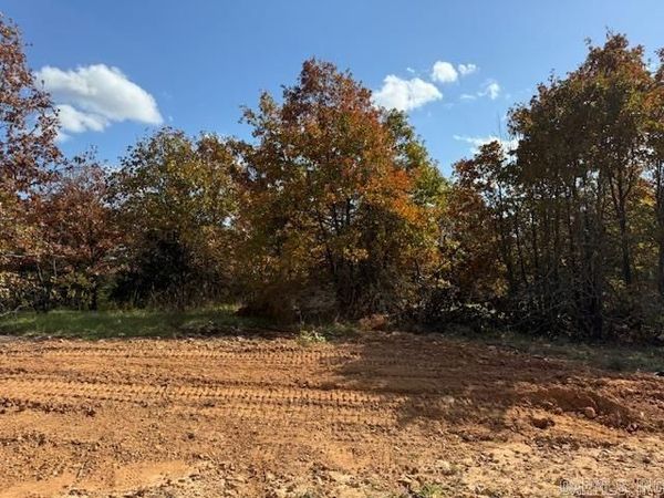 90 Summer Sky Drive, Greenbrier, AR 72058