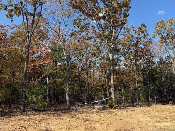 42 Summer Sky Drive, Greenbrier, AR 72058