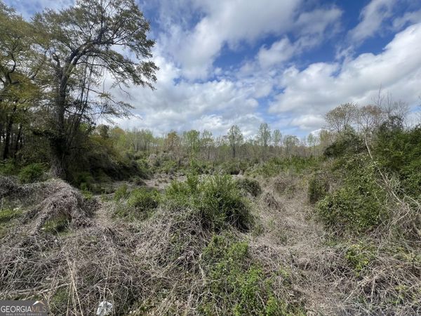 1029 CR- 474, Lafayette, AL 36862