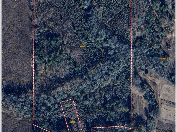 1029 CR- 474, Lafayette, AL 36862