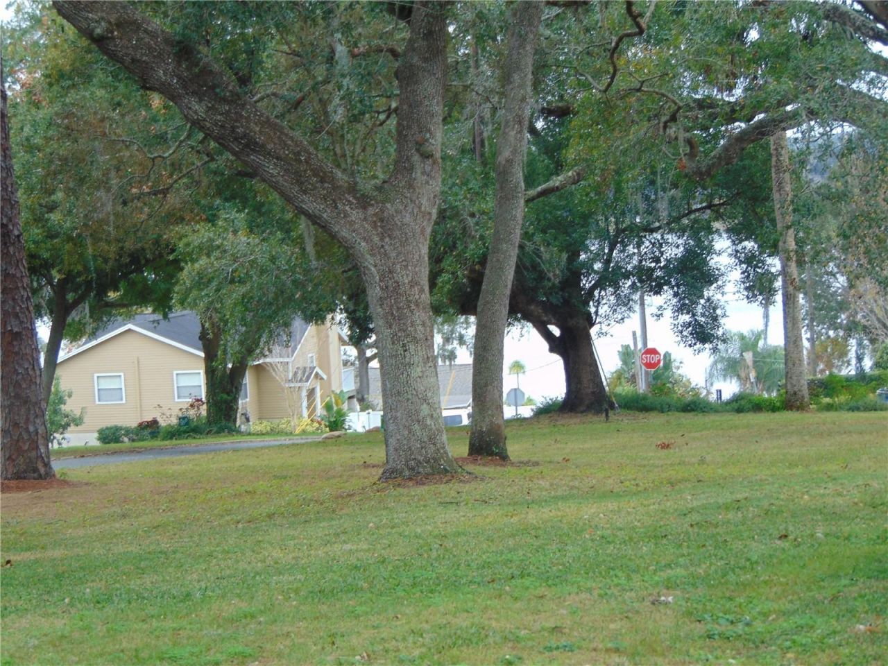 2435 Broadvue Avenue, Eustis, FL 32726 Photo