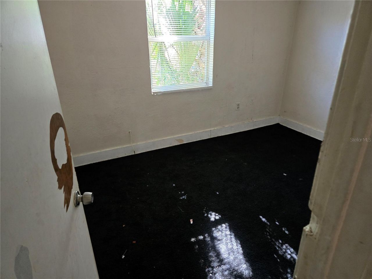 2421 11th Street S, Saint Petersburg, FL 33705 Photo