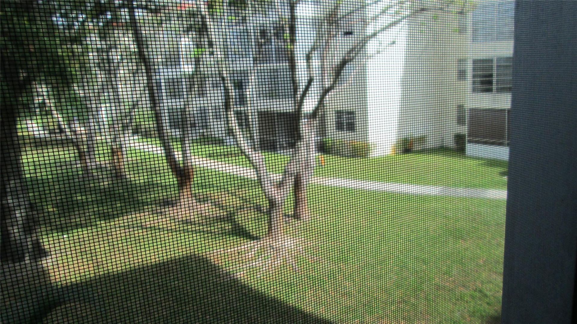 3001 NW 48th Avenue, Unit 237, Lauderdale Lakes, FL 33313 Photo