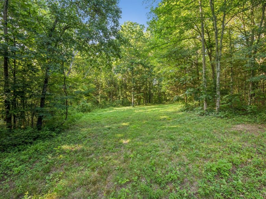 Property Image 96