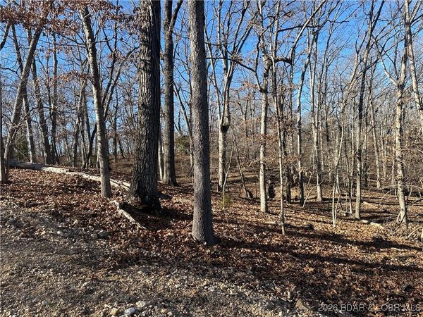 Lot 371 Cornette Cove #2, Lake Ozark, MO 65049