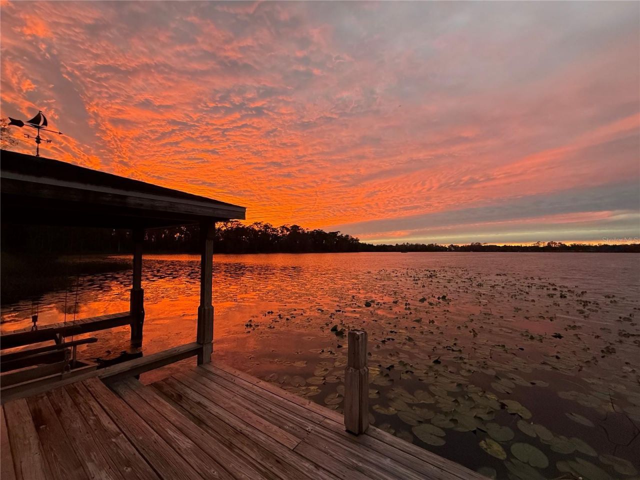 2750 Lee Shore Loop, Orlando, FL 32820 Photo