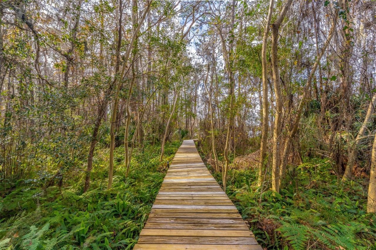 2750 Lee Shore Loop, Orlando, FL 32820 Photo