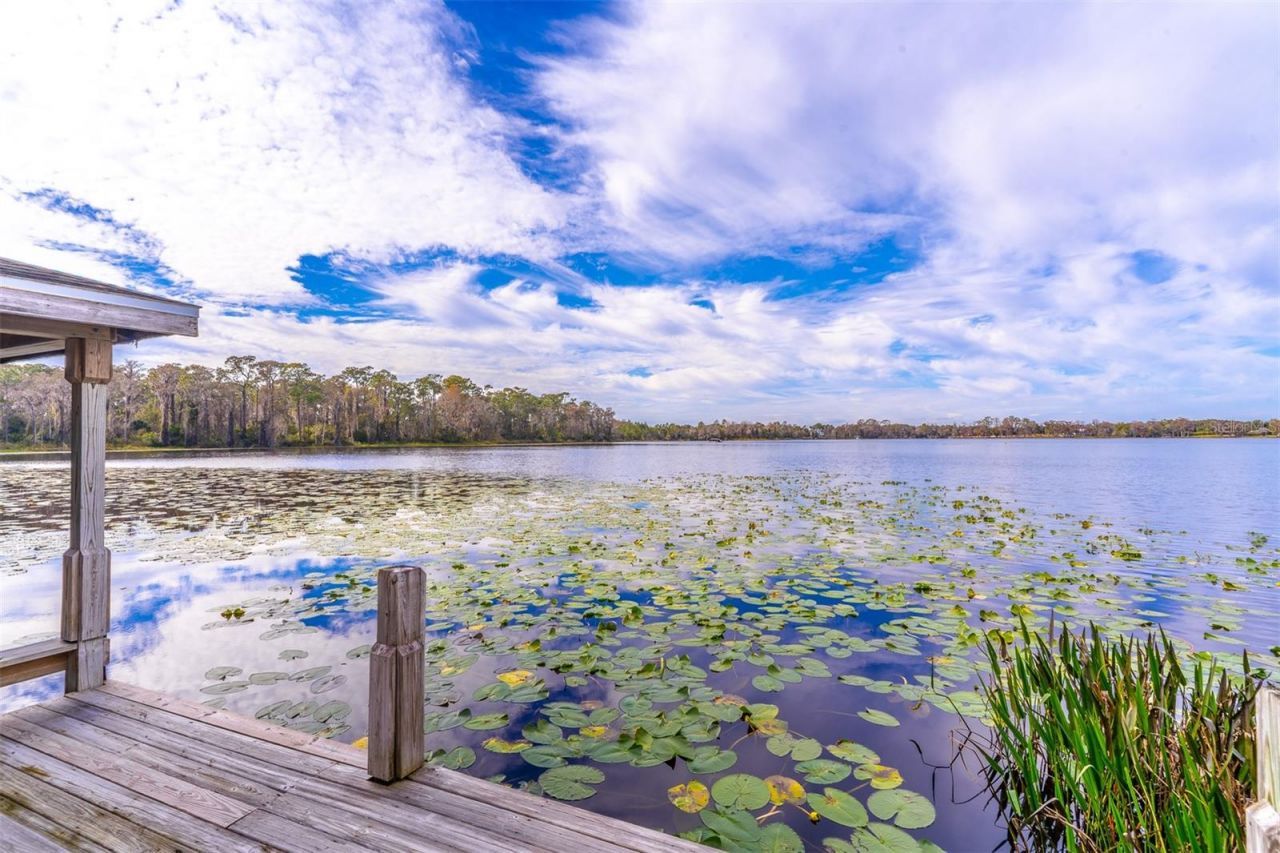 2750 Lee Shore Loop, Orlando, FL 32820 Photo