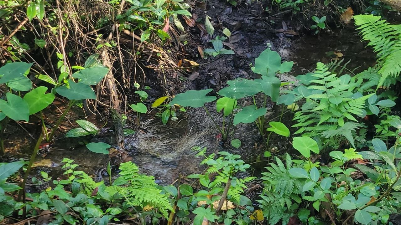 22380 Powell Road, Brooksville, FL 34602 Photo