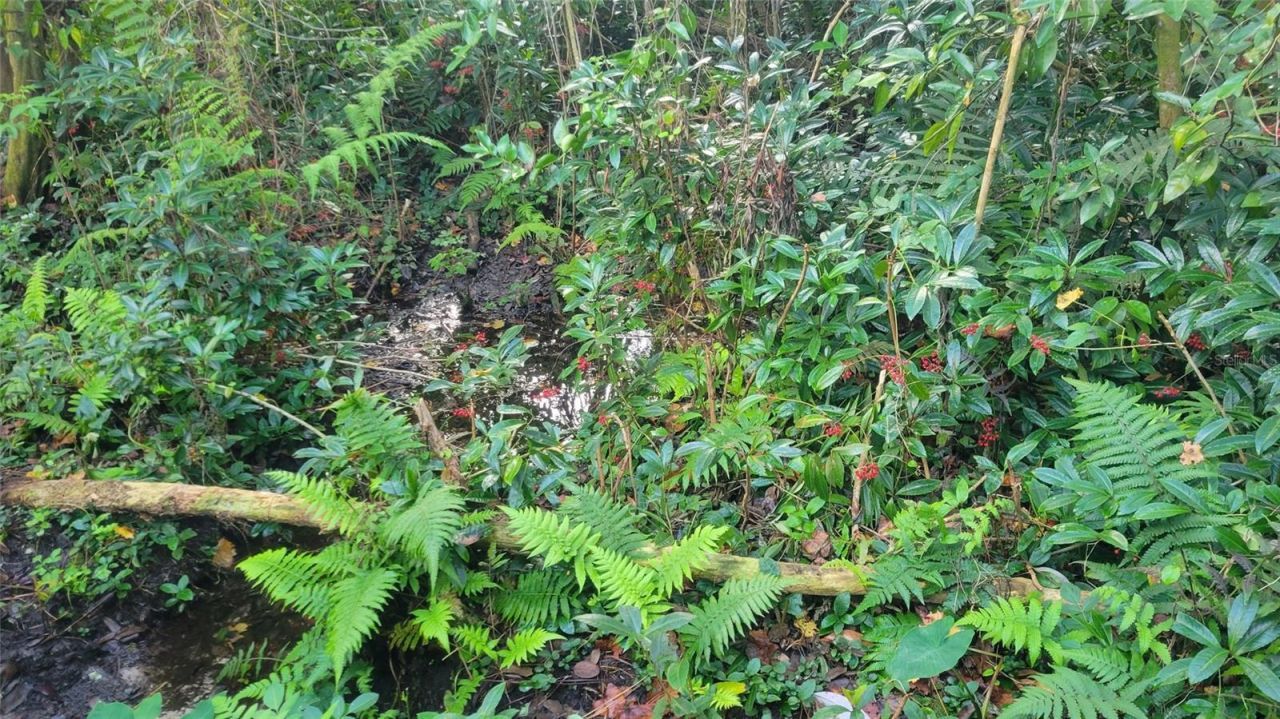 22380 Powell Road, Brooksville, FL 34602 Photo