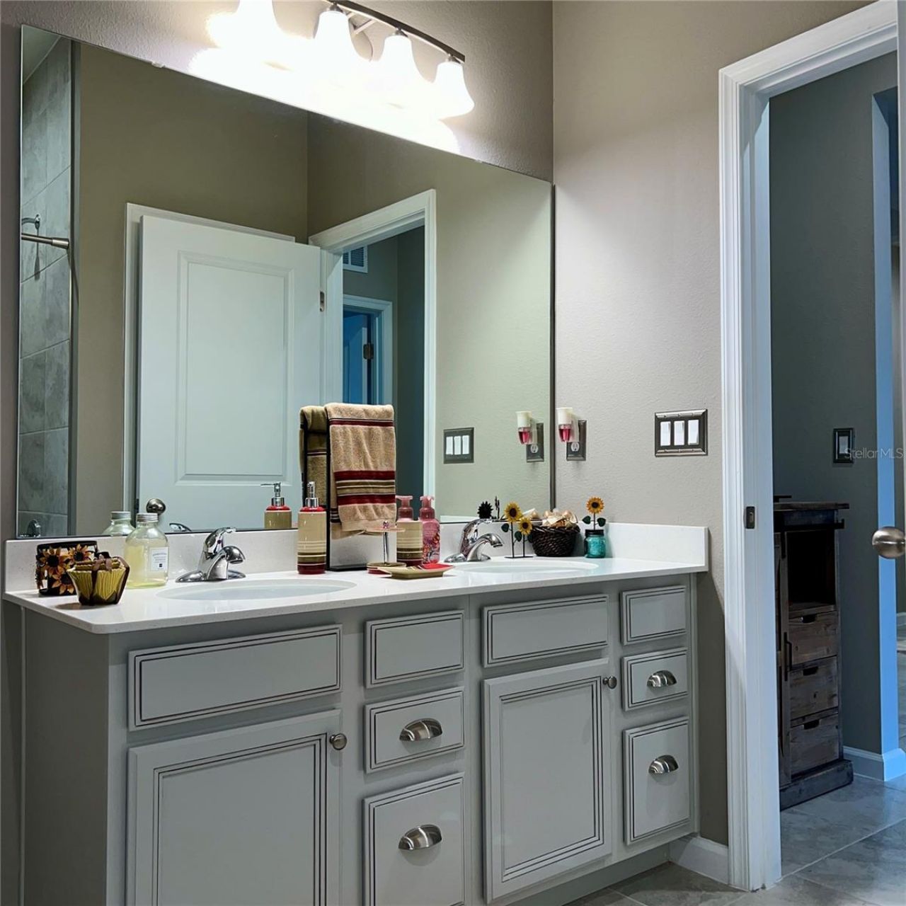 456 Winter Solstice Lane, Mount Dora, FL 32757 Photo