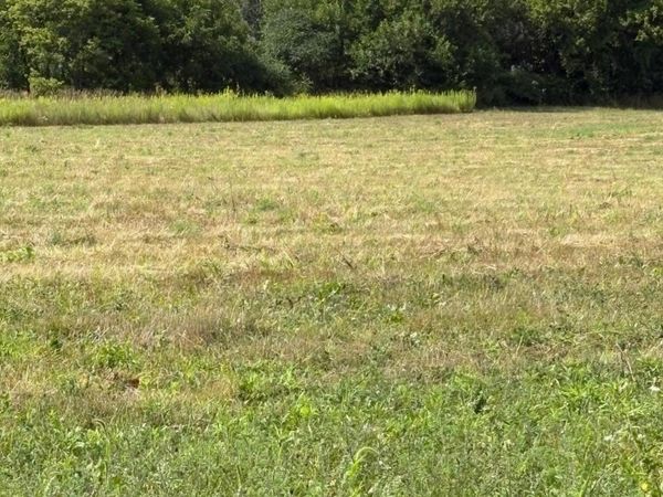 10725 Windward Avenue SW, Byron Center, MI 49315