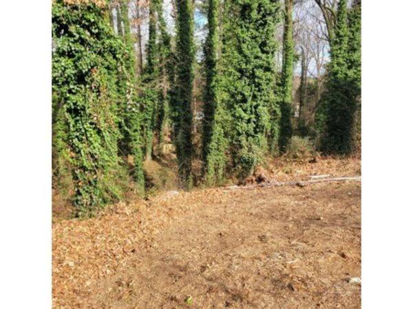 21 Saratoga Drive, Lawrenceville, GA 30044