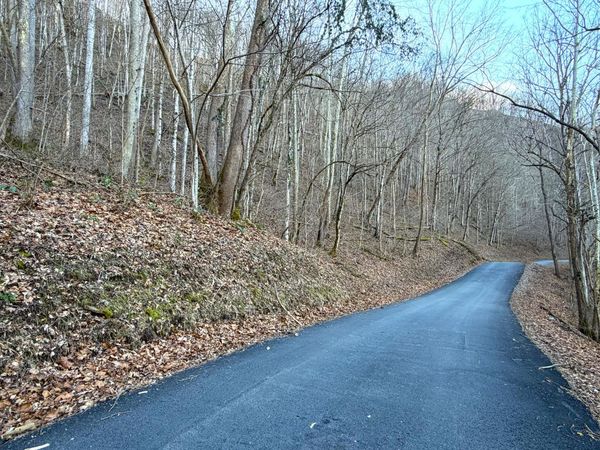 14Ac Horton Ford Road, Eidson, TN 37731