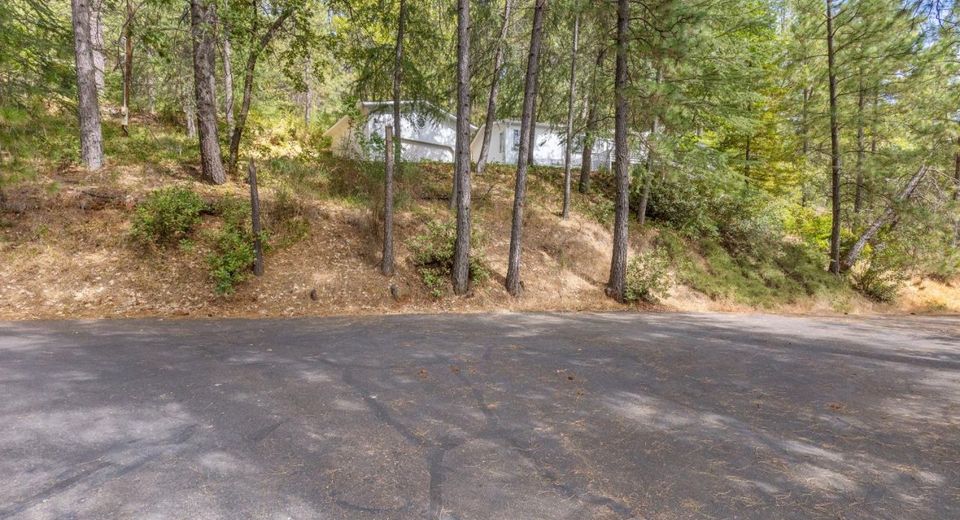 18506 Dunvegan Dr, Applegate, CA 95703 Photo