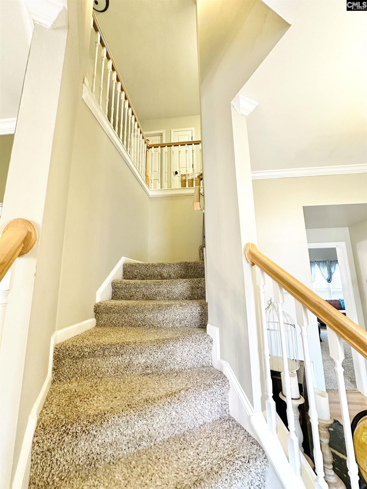 208 Saints Creek Lane Photo 16