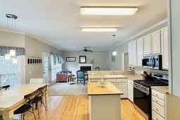 208 Saints Creek Lane photo 4