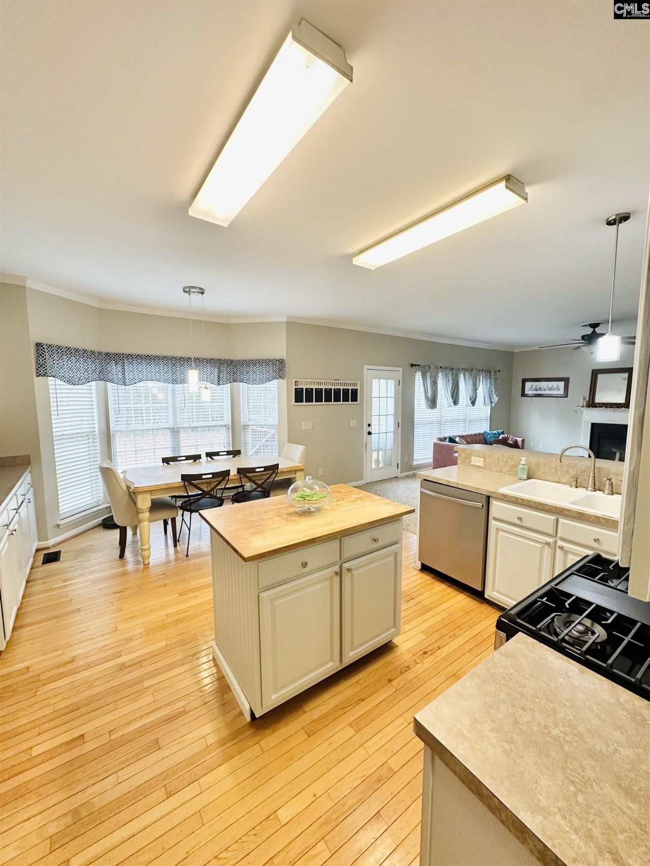 208 Saints Creek Lane Photo 4