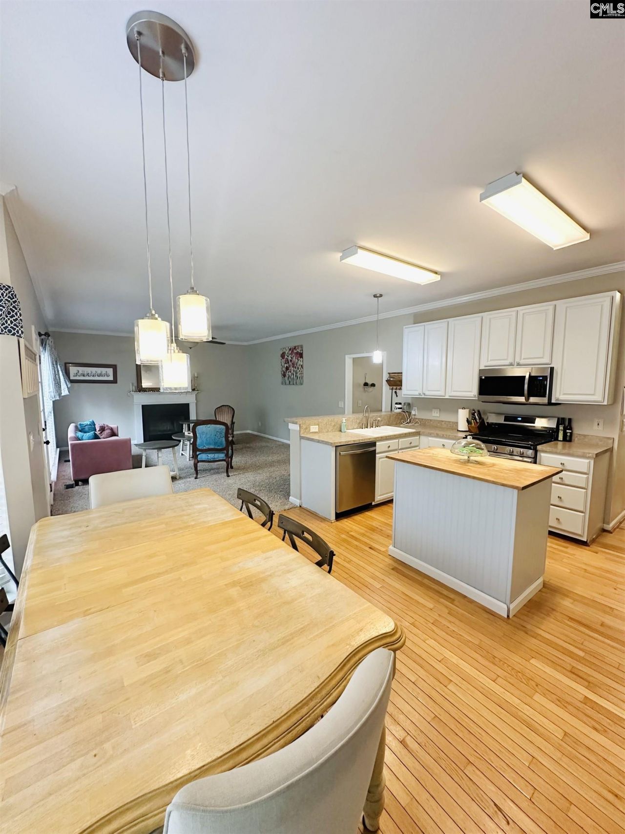 208 Saints Creek Lane Photo 5