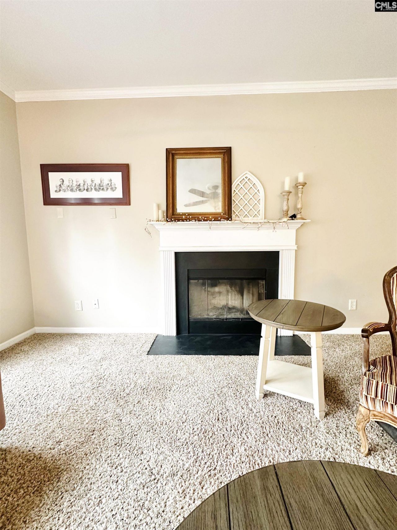 208 Saints Creek Lane Photo 8