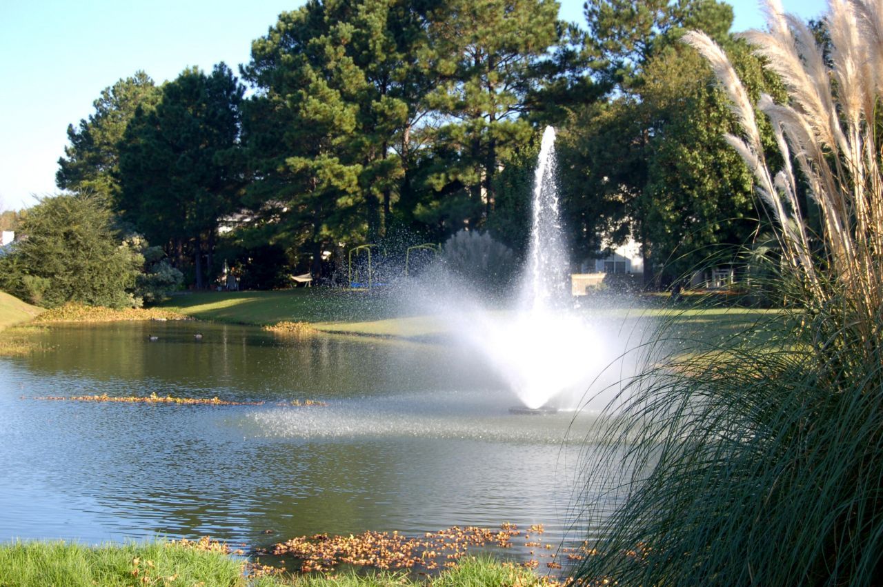 364 Evian Way Photo 46