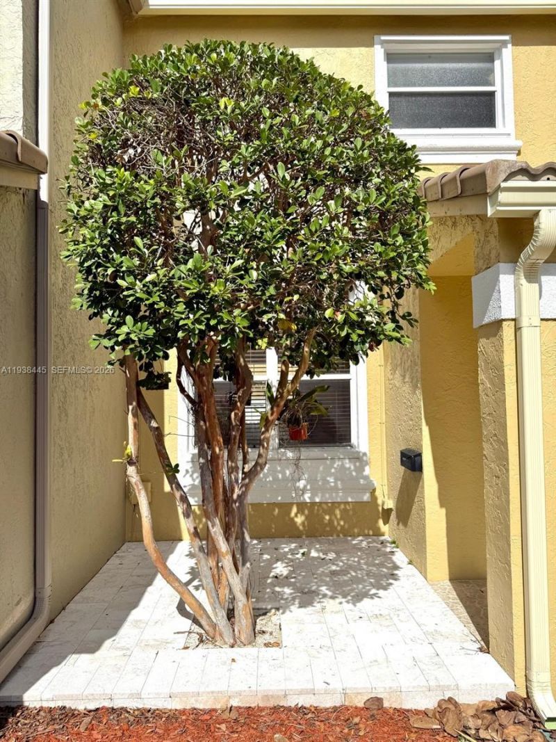 1355 NW 154th Ln, Unit 1355, Pembroke Pines, FL 33028 Photo