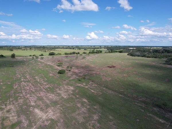 11 County Road 191 , Mullin, TX 76864