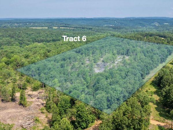 Tract 6 Harmony Mountain Road, Clinton, AR 72031