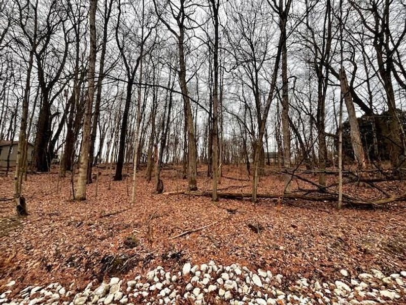 0 Northern Spy Drive, Howard, OH 43028 Photo 1