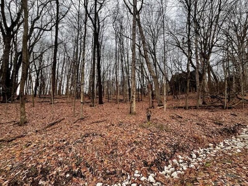 0 Northern Spy Drive, Howard, OH 43028 Photo 2