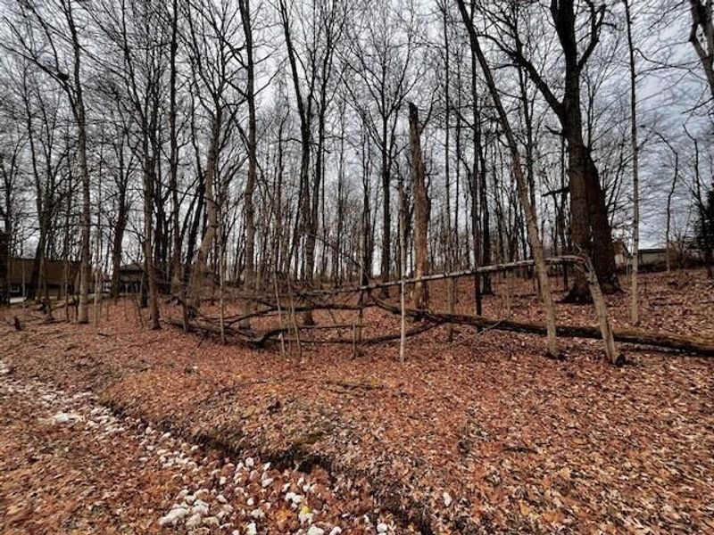 0 Northern Spy Drive, Howard, OH 43028 Photo 3