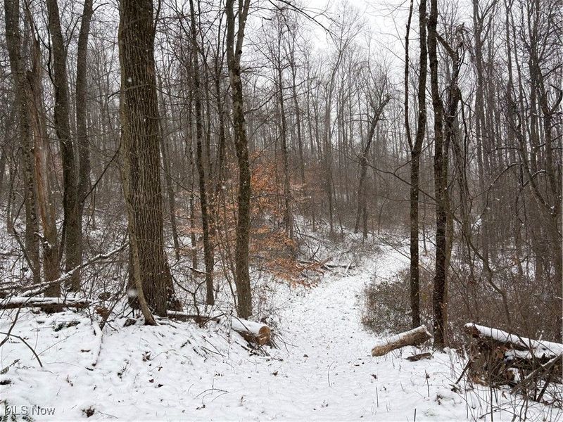 60883 Us-36, Newcomerstown, OH 43832 Photo 16