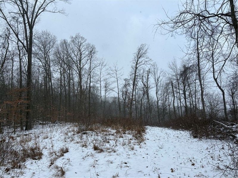 60883 Us-36, Newcomerstown, OH 43832 Photo 20