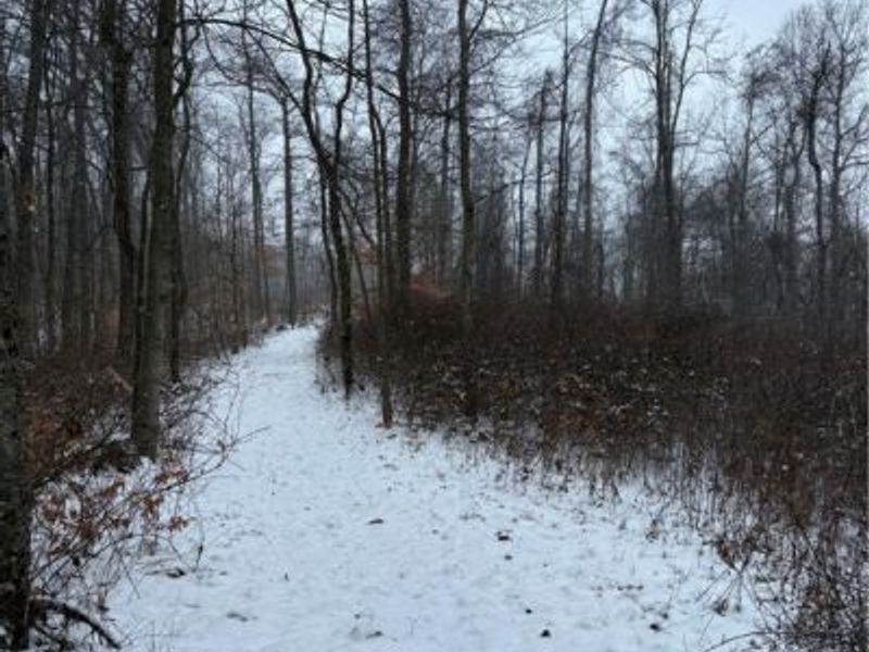 60883 Us-36, Newcomerstown, OH 43832 Photo 21