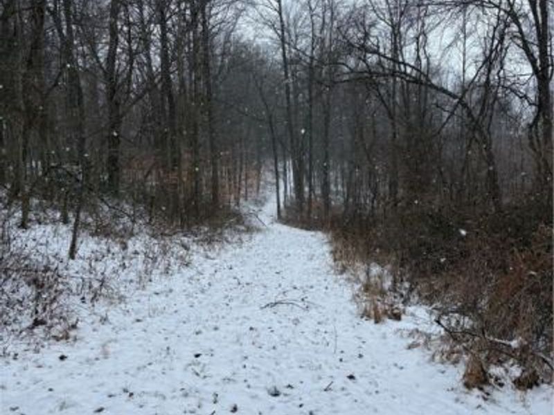 60883 Us-36, Newcomerstown, OH 43832 Photo 23