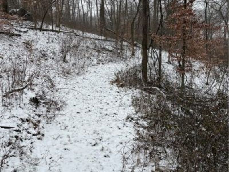 60883 Us-36, Newcomerstown, OH 43832 Photo 24