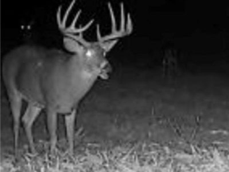 60883 Us-36, Newcomerstown, OH 43832 Photo 25