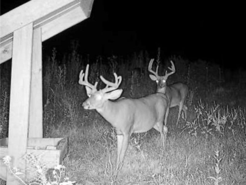 60883 Us-36, Newcomerstown, OH 43832 Photo 26