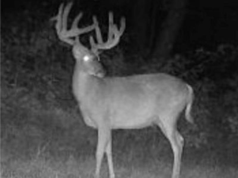 60883 Us-36, Newcomerstown, OH 43832 Photo 27