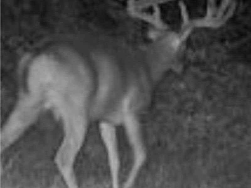 60883 Us-36, Newcomerstown, OH 43832 Photo 28