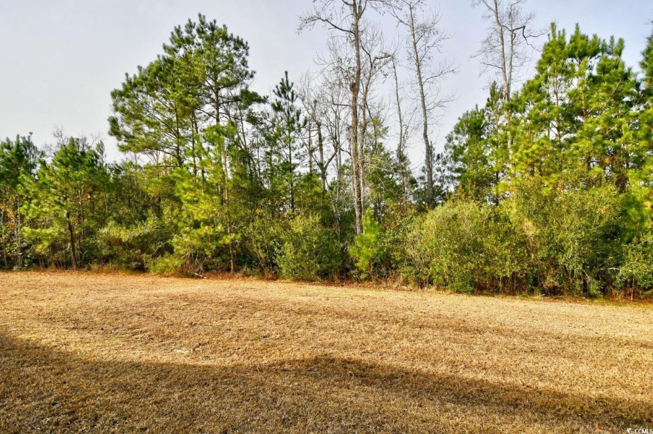 837 Triple Ct. Photo 31